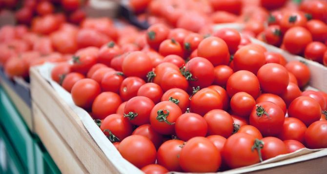 Сколько стоят помидоры в Украине сообщают что цены начали падать