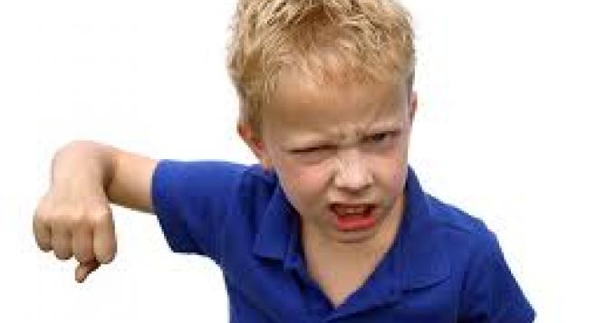 В детсадах Германии отмечают рост детской агрессии