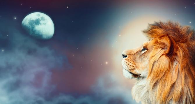 Сдержанность и благоразумие основной девиз дня