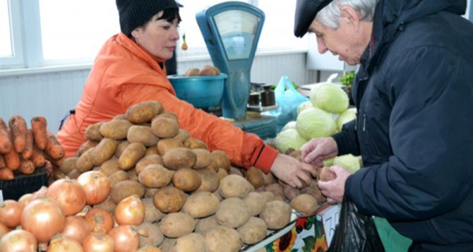 Цены на картофель в Украине рухнули: но осенью цены могут взлететь на 30%