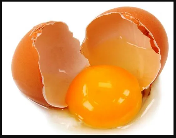 Как хранить свежие яйца