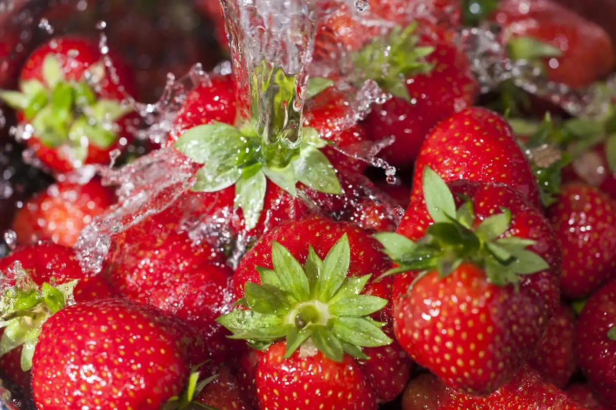 В полученный раствор окуни ягоды не дольше, чем на несколько минут. Потом промой их проточной водой.
