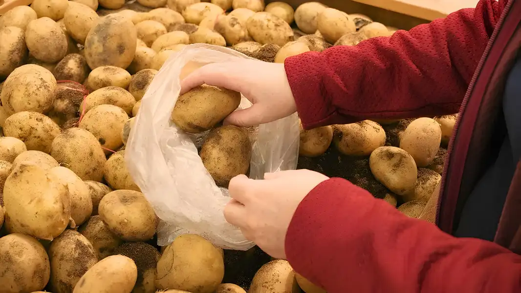  Супермаркеты продают молодую картошку в среднем по 16,9 грн/кг.