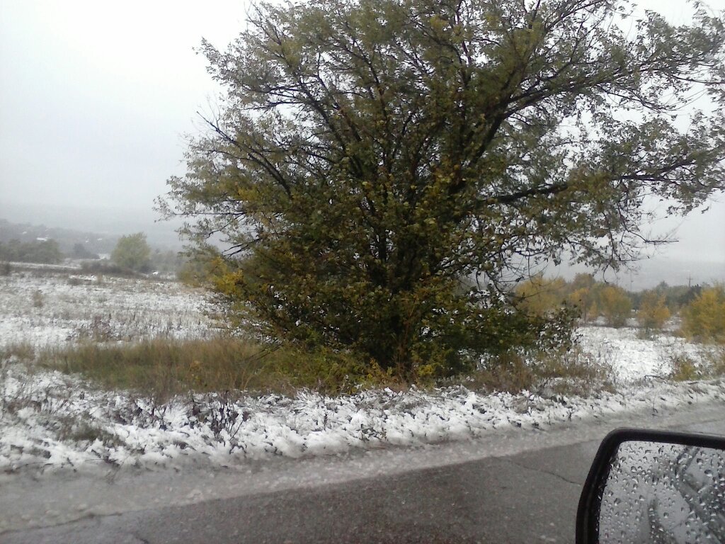 Погода синоптик луганской. Климатические условия Луганска.