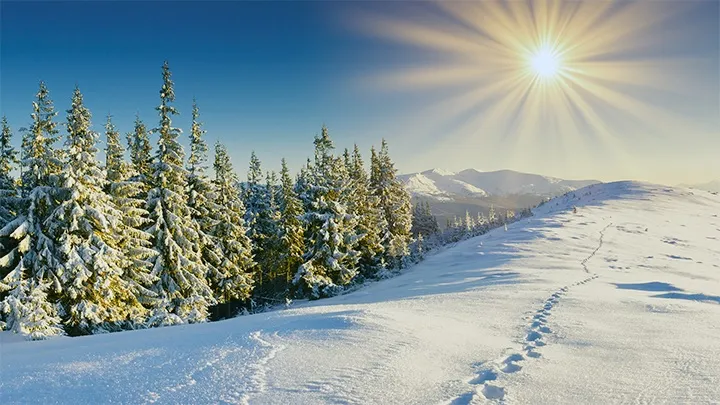 Зимнее солнцестояние – В 2022 году это произойдет в среду 21 декабря. В эти сутки будет самый короткий световой день и самая длинная ночь.
