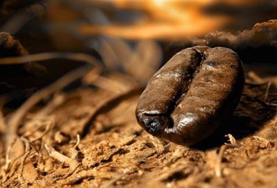 Замороженный кофе от Сxid.info