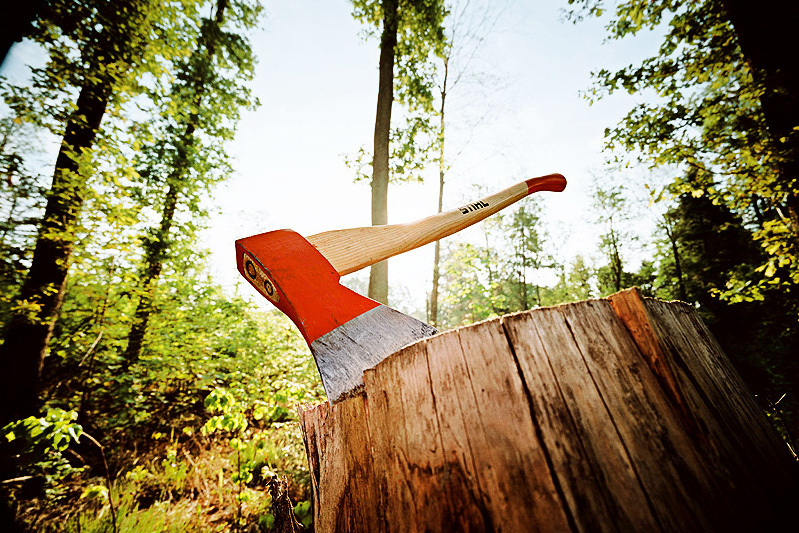 На Луганщине безработный мужчина вырубил 4 км леса 