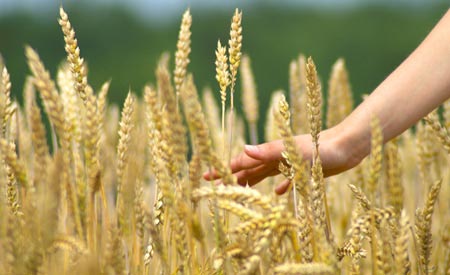 В этот день произойдут позитивные события