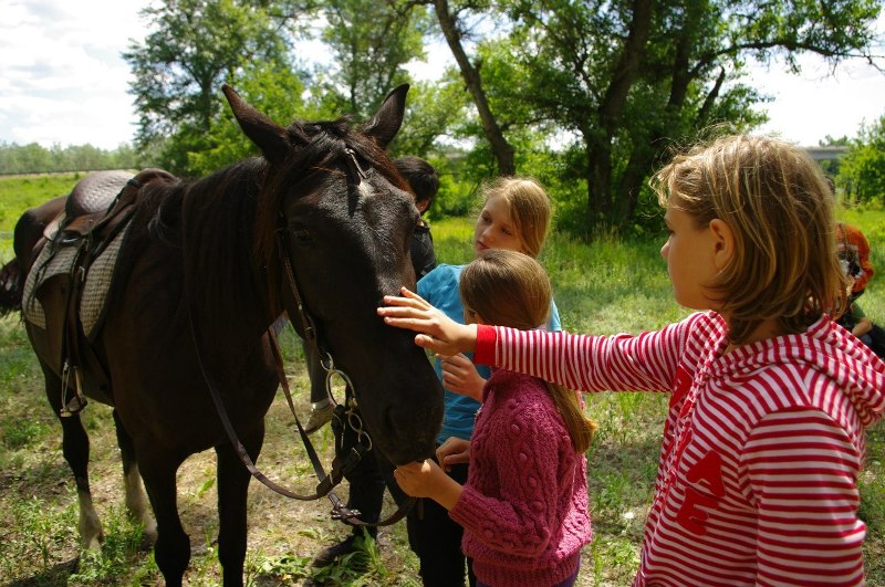 В Луганской области прошел фестиваль активного отдыха «Арта»