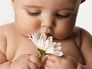 Вчера в Луганске родилось 17 детей