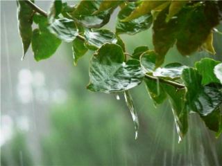 Погода в Луганске на завтра, 31 мая: снова дождь