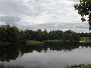 Погода в Луганске: +16°С