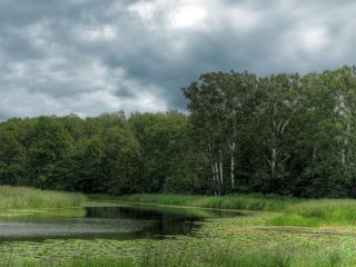 Погода в Луганске на завтра, 2 июня: без осадков