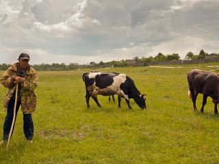 В Попаснянском районе пастух наткнулся на залежи боеприпасов