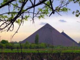 На терриконе шахты «Таловская» компания «Краснодонуголь» высадит 28 тыс. деревьев и кустарников