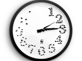 Сxid.info 10 лет: 2008 год – В Брянке появился музей русского языка