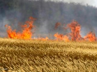 На полях Луганщины за 5 лет во время жатвы произошло 50 пожаров