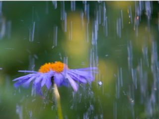 Погода в Луганске на завтра, 7 июня: дождь