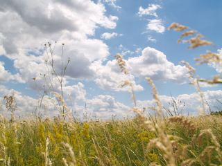 Погода в Луганске: солнечно