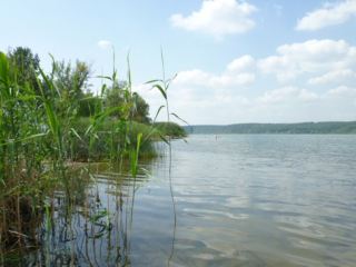 В Луганской области мужчина утонул в своем дворе
