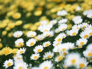 Погода в Луганске на завтра, 9 июня: +28°С