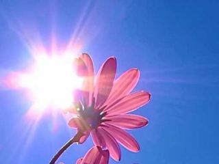 Погода в Луганске: днем ожидается +34°С