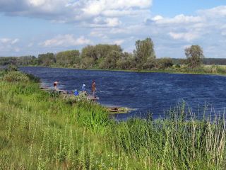 В Луганской области задержали егеря-взяточника
