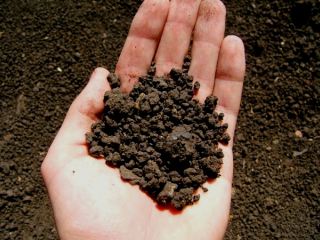 Коммунистов Брянки обвиняют в двойных стандартах