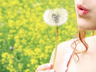 Погода в Луганске: жара