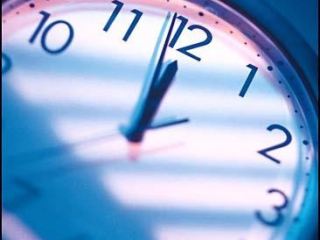 Cxid.info 10 лет: 2009 г. – через границу хотели провезти 48 страусят  