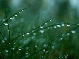 По сегодняшнему вечеру можно узнать погоду на завтра