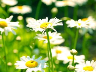 Погода в Луганске: +27°С