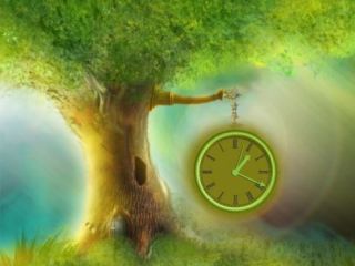 Cxid.info 10 лет: 2007 г. – луганские предприниматели перекрыли улицу Советскую 