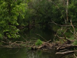 В Луганской области решили устроить лодочную эко-прогулку по реке Айдар