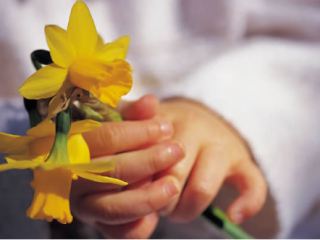 В Луганске будут чествовать медработников