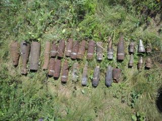 На Луганщине на месте выпаса скота нашли 27 боеприпасов