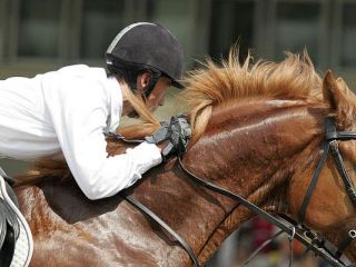 Завтра в Луганской области пройдут соревнования по конному спорту