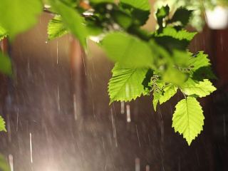 Погода в Луганске на завтра, 16 июня: +21°С