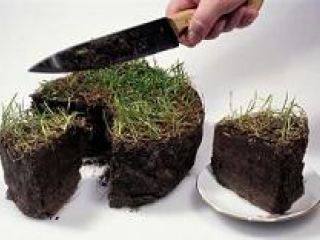 Земельный скандал на Луганщине: сватовские фермеры заподозрили местную прокуратуру в вымогательстве 