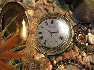 Cxid.info 10 лет. 2004 г. – В Луганске спасали кошку, просидевшую на дереве 2 дня