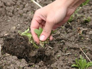 В этот день лучше не торопиться