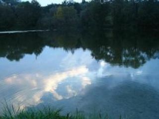 На Луганщине утонул 48-летний мужчина, неудачно прыгнувший с моста