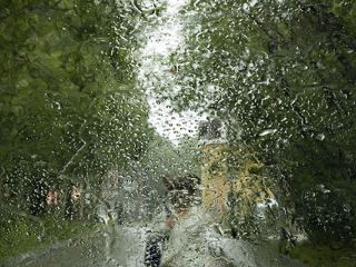 Погода в Луганске на завтра, 21 июня: дождь