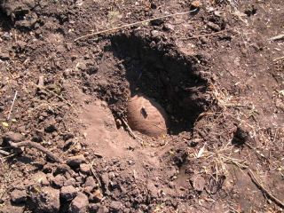 На Луганщине нашли 50-килограммовую авиационную бомбу 