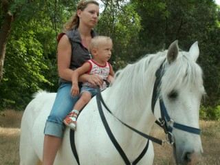 В единственном в Украине конно-спортивном комплексе при поддержке депутата-регионала Владимира Медяника возрождают иппотерапию