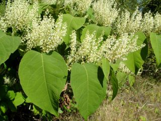 В этот день нужно исключить хвастливость