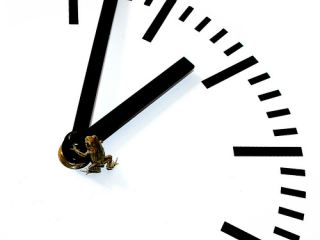 Cxid.info 10 лет. 2008 г. – В Луганске «заминировали» апелляционный суд