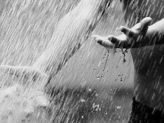 Сегодня и завтра в Луганске обещают грозы и сильный ветер 