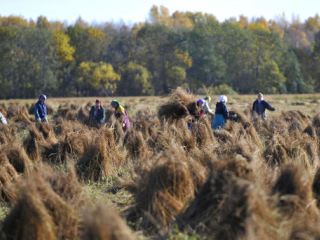 Сегодняшний день стоит посвятить размышлениям о возможных переменах