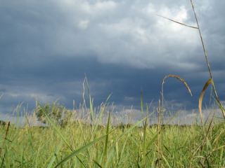 Погода в Луганске на завтра, 7 июля: +30°С